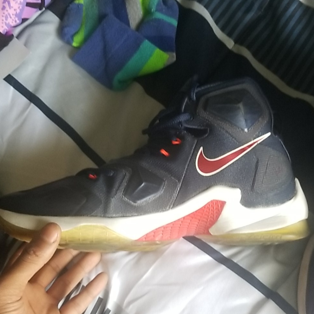 Lebrons - Picture 3 of 6